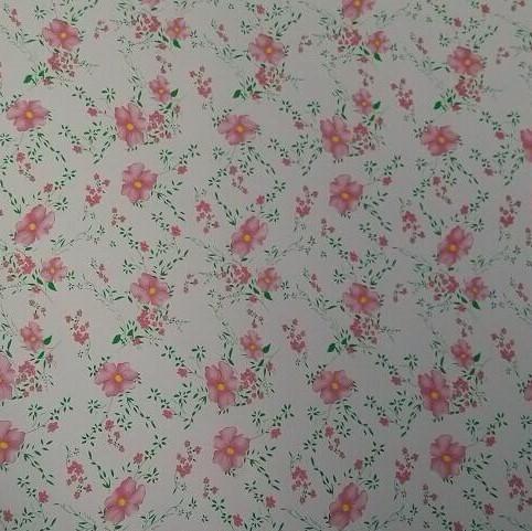 Ral 2169 Z60 90ga Pre покрасило лист Gi стального листа покрытый цветом 3