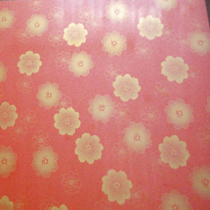 Ral 2169 Z60 90ga Pre покрасило лист Gi стального листа покрытый цветом 4